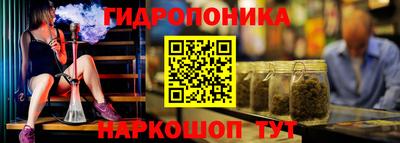сатива Пенза