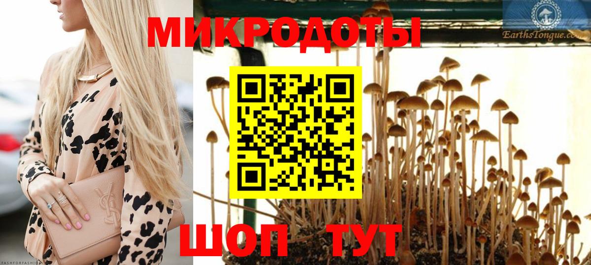 закладка  Псилоцибиновые грибы Psilocybine cubensis  Псилоцибиновые грибы мухоморы  Вход с VPN  Трёхгорный 
